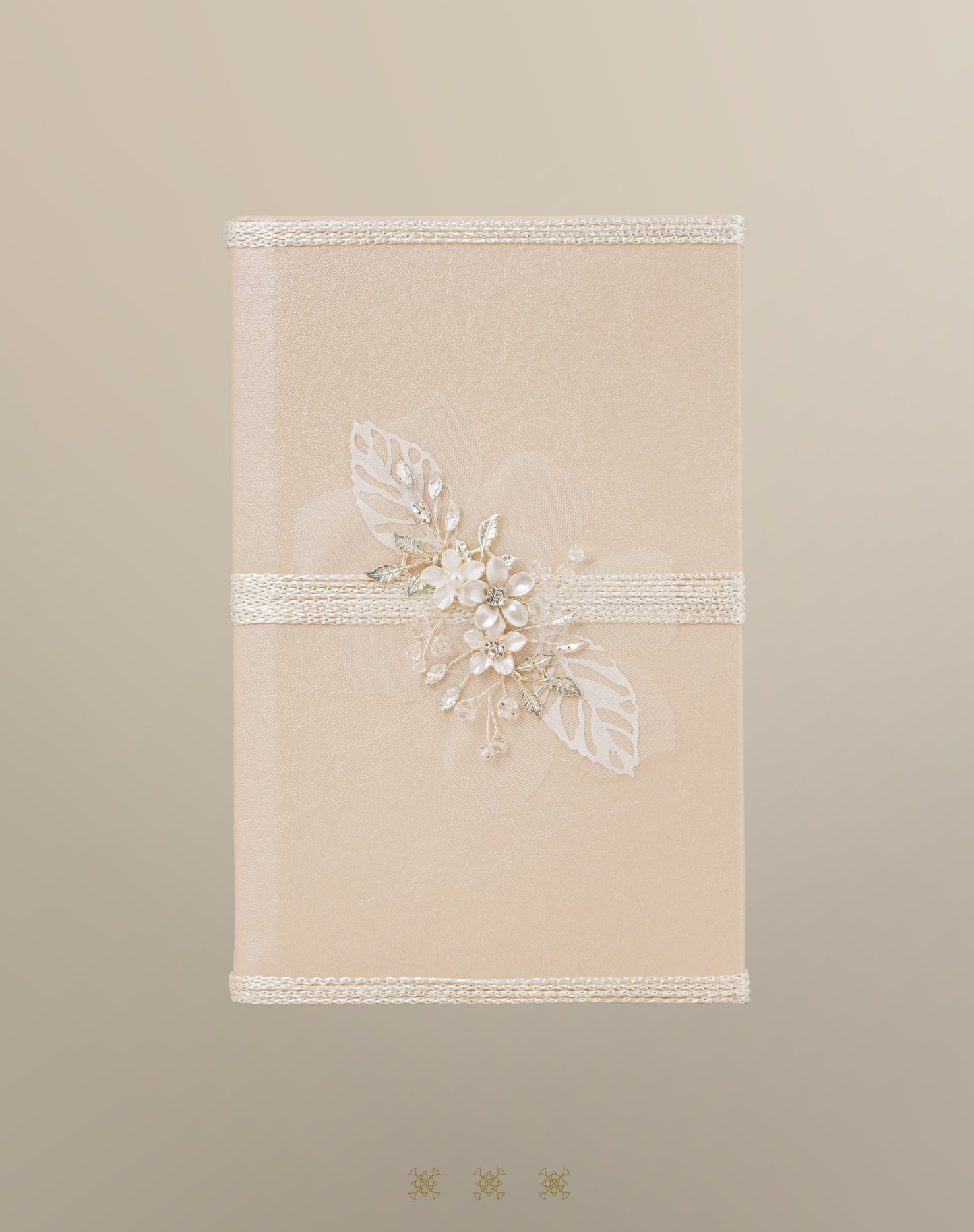 Biblia champagne / plata 92-048