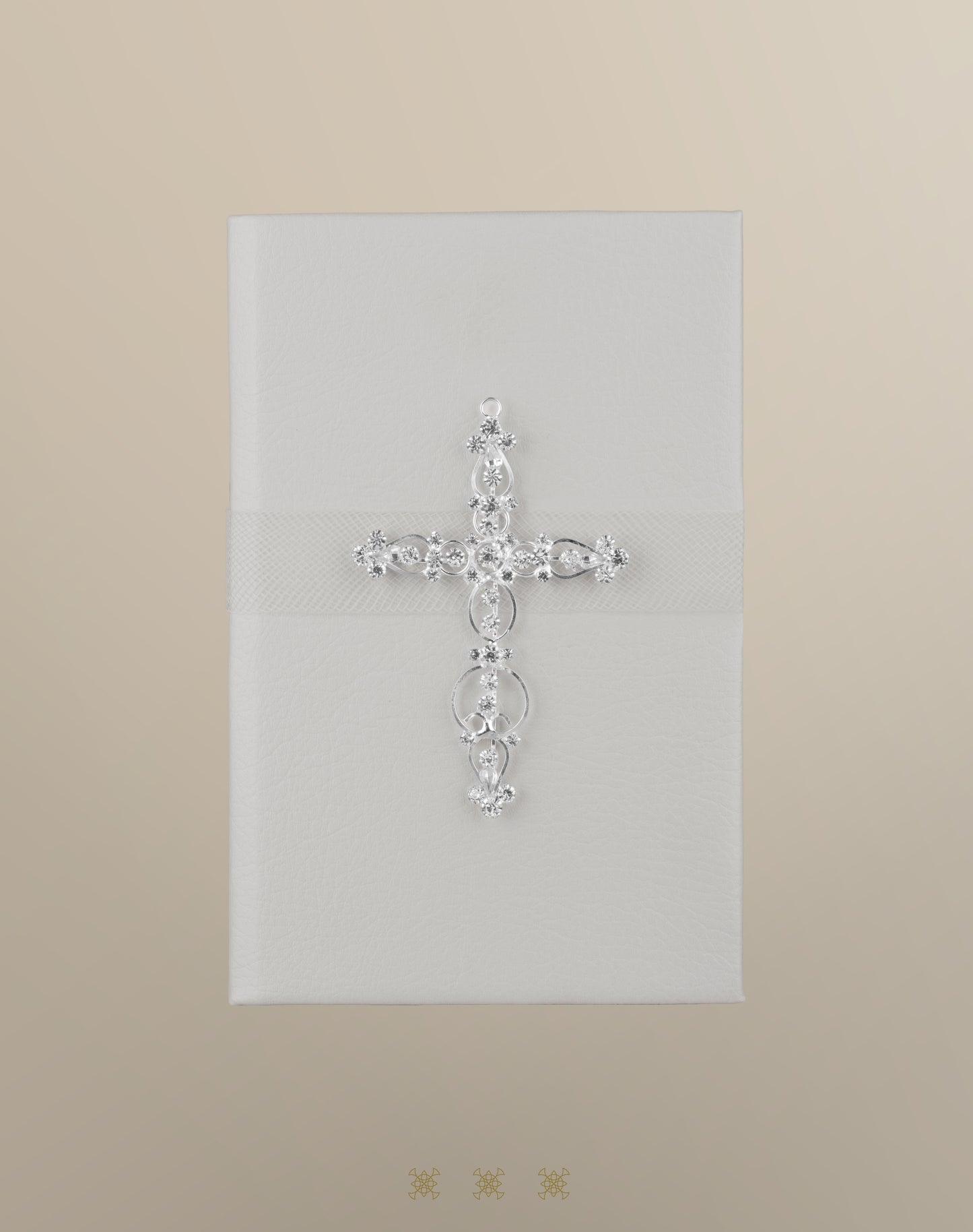 Biblia plata 92-189