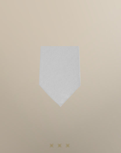 Corbata gris sin nudo 40-018