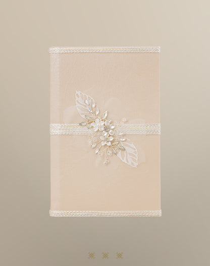 Biblia champagne / plata 92-048