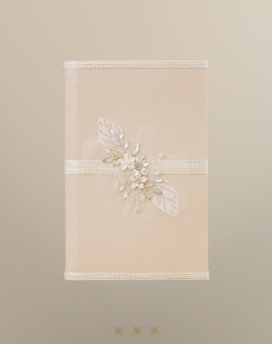 Biblia champagne / plata 92-048